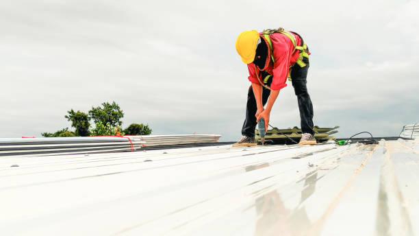 Best Gutter Installation and Repair  in Ambridge, PA
